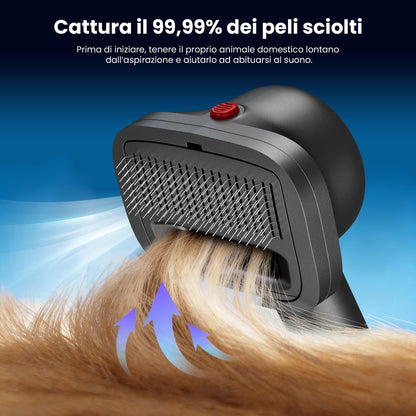 Aspirapolvere Senza Fili Potente, 600W/58000Pa/75Min, Scopa Elettrica Senza Fili con Tubo Flessibile da 1 m, Tosatrice e Spazzola per Animali, Autoportante per Tappeti/Pavimenti/Peli Animali